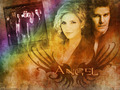 angel - The Gang wallpaper