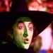 Wicked Witch of the West - the-wicked-witch-of-the-west icon
