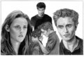Jacob, Edward and Bella - twilight-series fan art