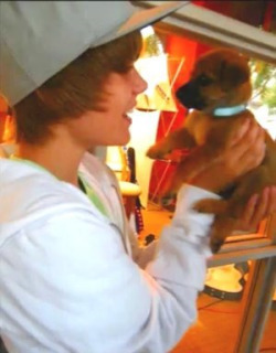  Justin Bieber with his dog.