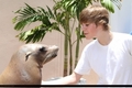 Justin spends his day in Atlantis before his concert - justin-bieber photo