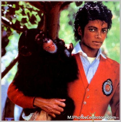MJ's pets