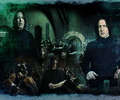 Snape collage - harry-potter photo