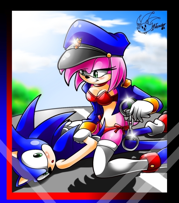 You can't run away for ever, darling... - Sonic and Amy Fan Art