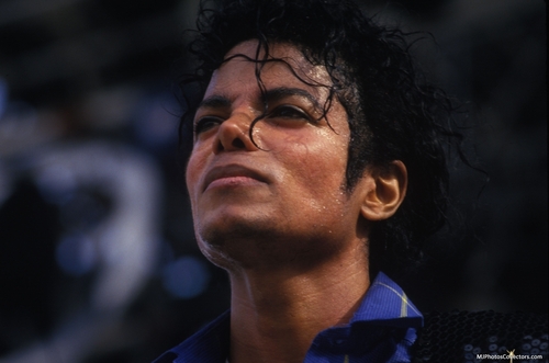 Royal Progress by D. Michael Jackson