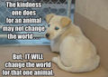 Be Kind :) - dogs photo