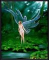 Beautiful Fairies - fairies photo