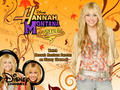 hannah-montana - Hannah Montana Forever!!!!!! wallpaper