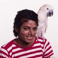 MJ in 1982 - michael-jackson photo
