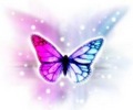 Pretty  - butterflies fan art