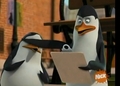 penguins-of-madagascar - Private never gets to see anything screencap