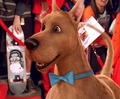 Scooby Doo - scooby-doo photo