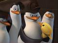 penguins-of-madagascar - The penguins looking after Eggy:) screencap