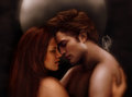 The pic is not mine,I just do that - twilight-series photo