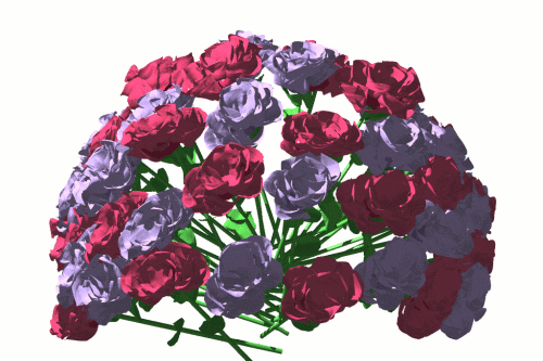  Bunch of mga rosas