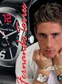 Fernando Torres - fernando-torres fan art