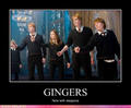 Gingers - harry-potter photo
