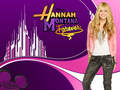 hannah-montana - HANNAH MONTANA Forever exclusive wallpapers 4 fanpopers!!!!!!!!! created by dj!!!!!!!!!!! wallpaper