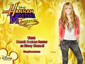 hannah-montana - HANNAH MONTANA Forever exclusive wallpapers 4 fanpopers!!!!!!!!! created by dj!!!!!!!!!!! wallpaper