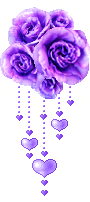  Hearts and rose