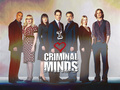 I Love Criminal Minds - criminal-minds photo