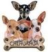 Love Chihuahuas - chihuahuas icon