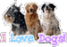 Love Dogs ! - dogs icon