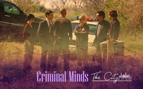 Criminal Minds