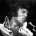 Elvis the Star - elvis-presley icon