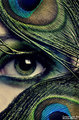 Green Eyes - people-with-green-eyes photo