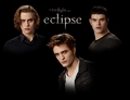 New Eclipse Wallpapers - twilight-series photo