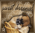 Sweet Dreams - puppies photo