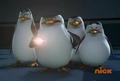 penguins-of-madagascar - There you are, punk! screencap