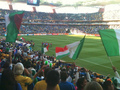World Cup 2010 - fifa-world-cup-south-africa-2010 photo