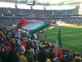 World Cup 2010 - fifa-world-cup-south-africa-2010 photo