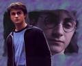Another WP by me - harry-potter photo