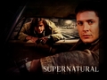 supernatural - Dean and Sam wallpaper