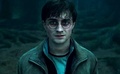 Deathly Hallows! - harry-potter photo