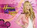 hannah-montana - Hannah Montana 4ever by dj!!! exclusive wallpapers 4 fanpopers!!!! wallpaper