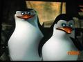 penguins-of-madagascar - He's plotting revenge!!! screencap