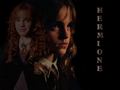 Hermione WP by me - hermione-granger wallpaper