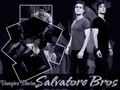 Salvatore Bros - the-vampire-diaries wallpaper