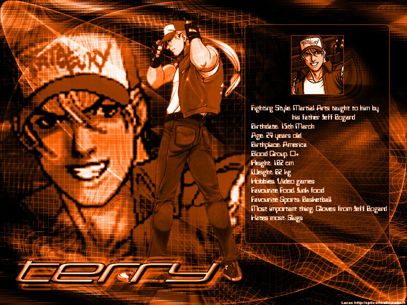 Terry Bogard - The King of Fighters Wallpaper (13357679 ...