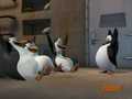 penguins-of-madagascar - The penguins are happy :D screencap