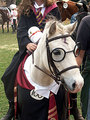 even Horses love Harry - harry-potter photo