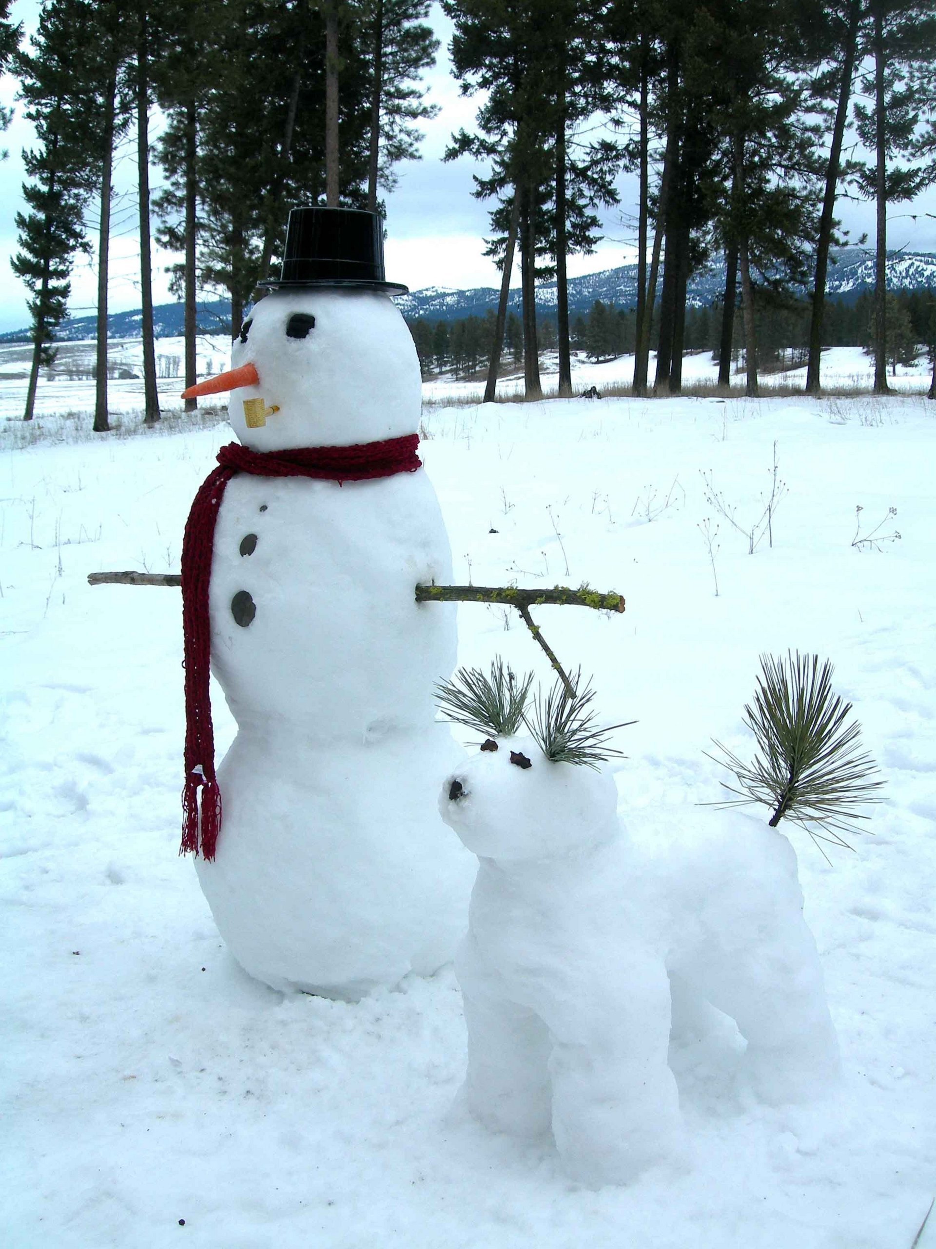 snowman & snowdog - snowmen Photo (13384498) - Fanpop