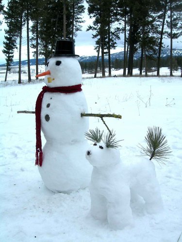  snowman & snowdog