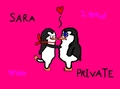 4 sj waddles  sara + private  first kiss - penguins-of-madagascar fan art