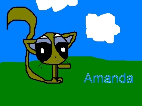  Amanda, the cat