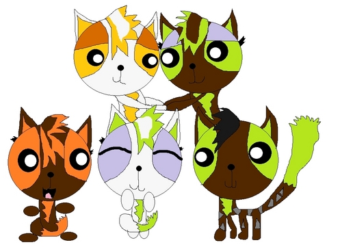  RQ:Amy's cat family!